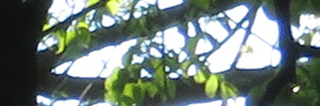 Canon PowerShot SX720 HS: kapesní šmírování