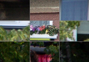 Canon RF 24-105mm f/4 L IS USM