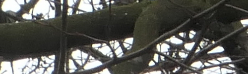 Panasonic Lumix LX15: noční borec