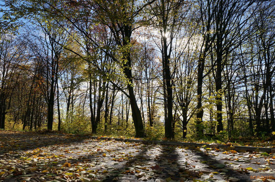 Sony NEX-5R: fázový posun k lepšímu?