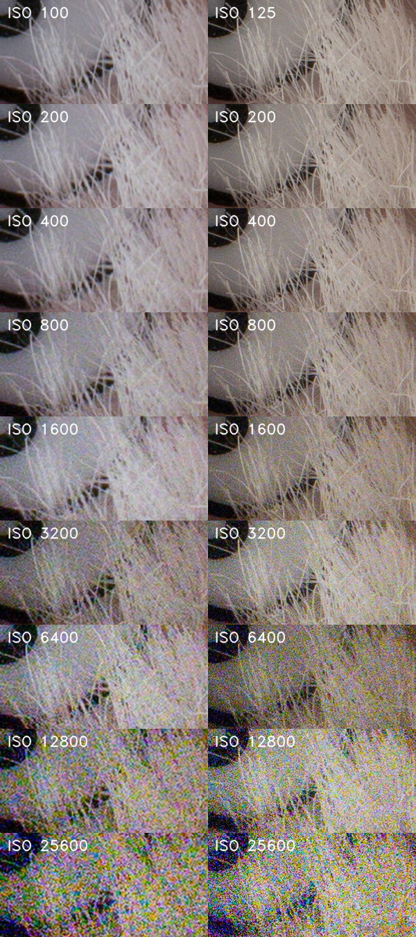 Jak by fotil 1,0" senzor se 7,5 MPx? Vyzkoušeli jsme to!