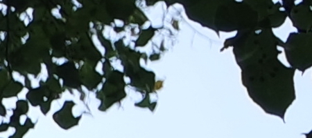 Samsung 16-50mm 1:3.5-5.6 ED OIS Power Zoom