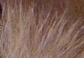 Samsung EX2F: významný krok vpřed