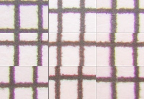 Nikon AF-P NIKKOR 18-55mm f/3.5-5.6G VR