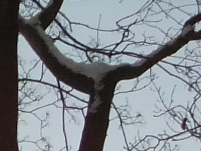 Fujifilm FinePix F300EXR: klame tělem