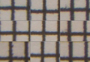 Panasonic Lumix TZ70: krůček k profi ultrazoomu