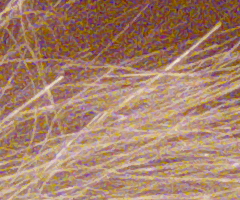 Panasonic Lumix FZ45 a FZ100: na vrcholu