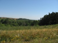 Canon PowerShot A540: Stříbrný šikula