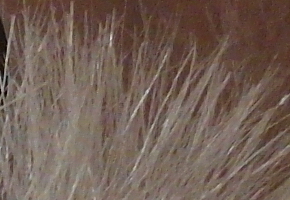 Samsung EX2F: významný krok vpřed