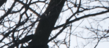 Nikon AF-S DX NIKKOR 16-85mm f/3.5-5.6G ED VR