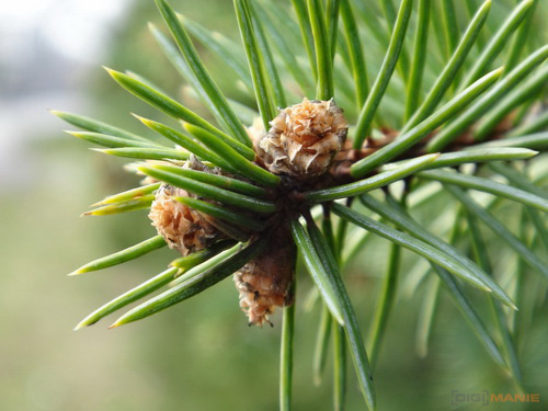 Sony Cyber-shot TX10: odolný zálesák