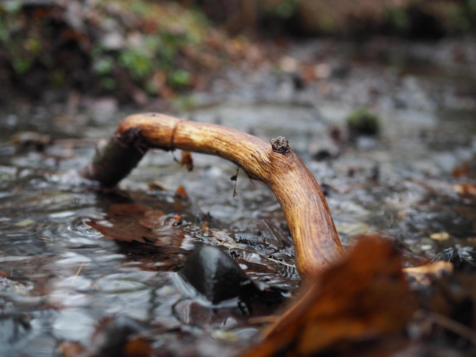 Olympus M.Zuiko Digital 25mm 1:1.8