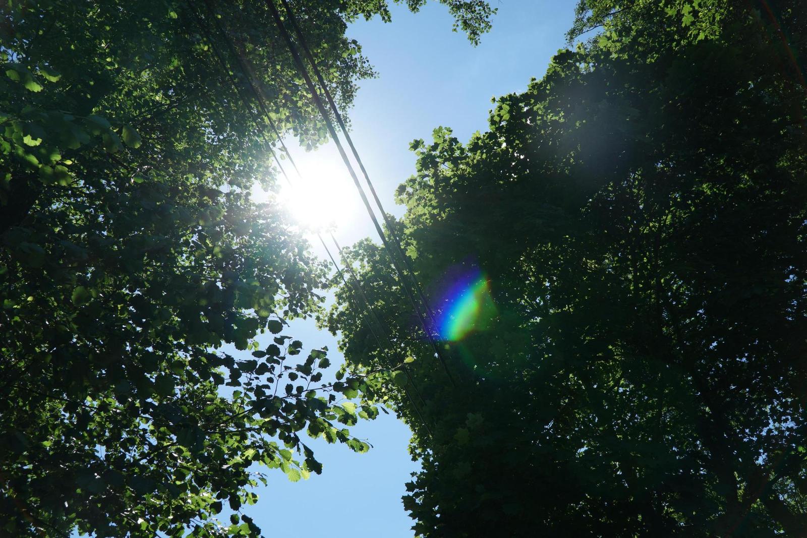 Sony E PZ 18-105mm F4 G OSS (SELP18105G)