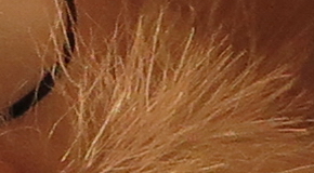 Canon PowerShot G1 X Mark II: významné zlepšení