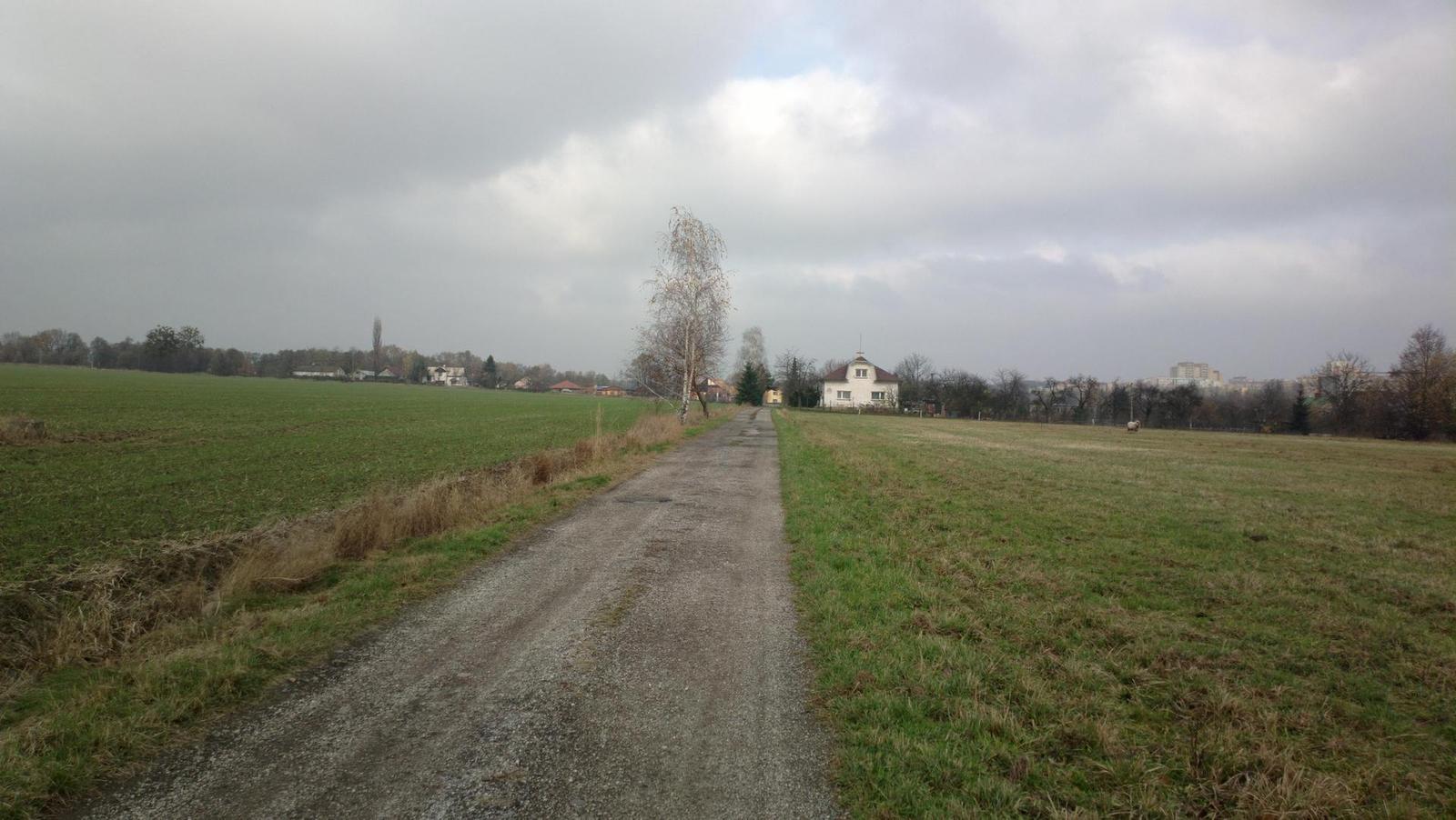 Nokia Lumia 1020 vs. 808 PureView