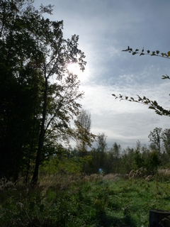 Panasonic Lumix FZ28: o krok blíže dokonalosti