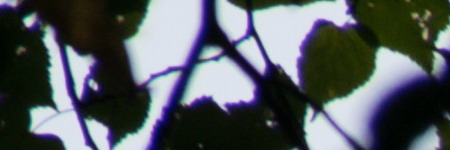 Nikon AF-S DX NIKKOR 55-200mm f/4-5.6G IF-ED VR