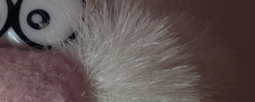 Nokia 808 PureView: mobilní zrcadlovkobijec