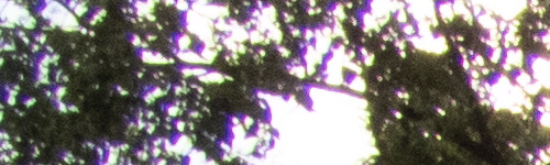 Nikon Coolpix B700: přírodovědec