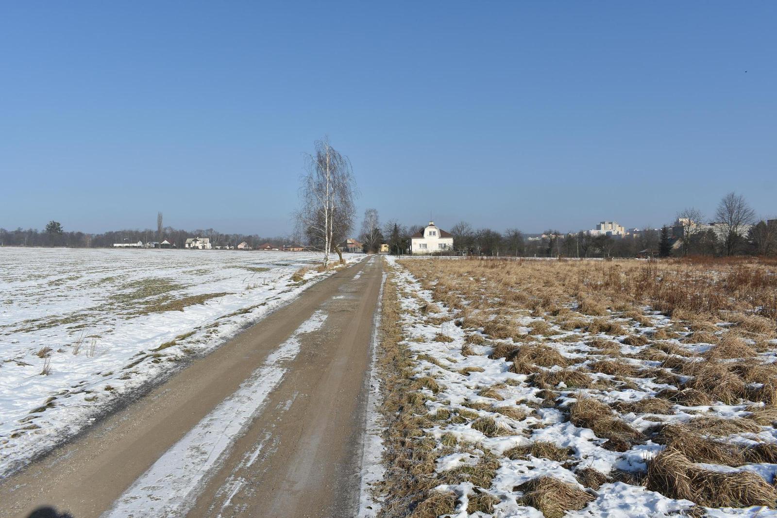 Nikon AF-P NIKKOR 18-55mm f/3.5-5.6G VR