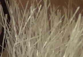 Sony Cyber-shot HX20V: umí snad všechno