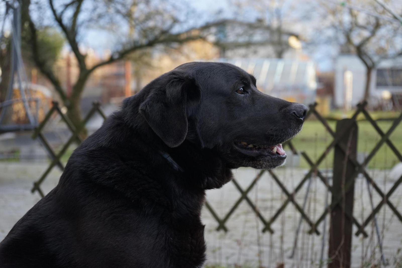 Sony A7R (ILCE-7R): postřehy z praxe