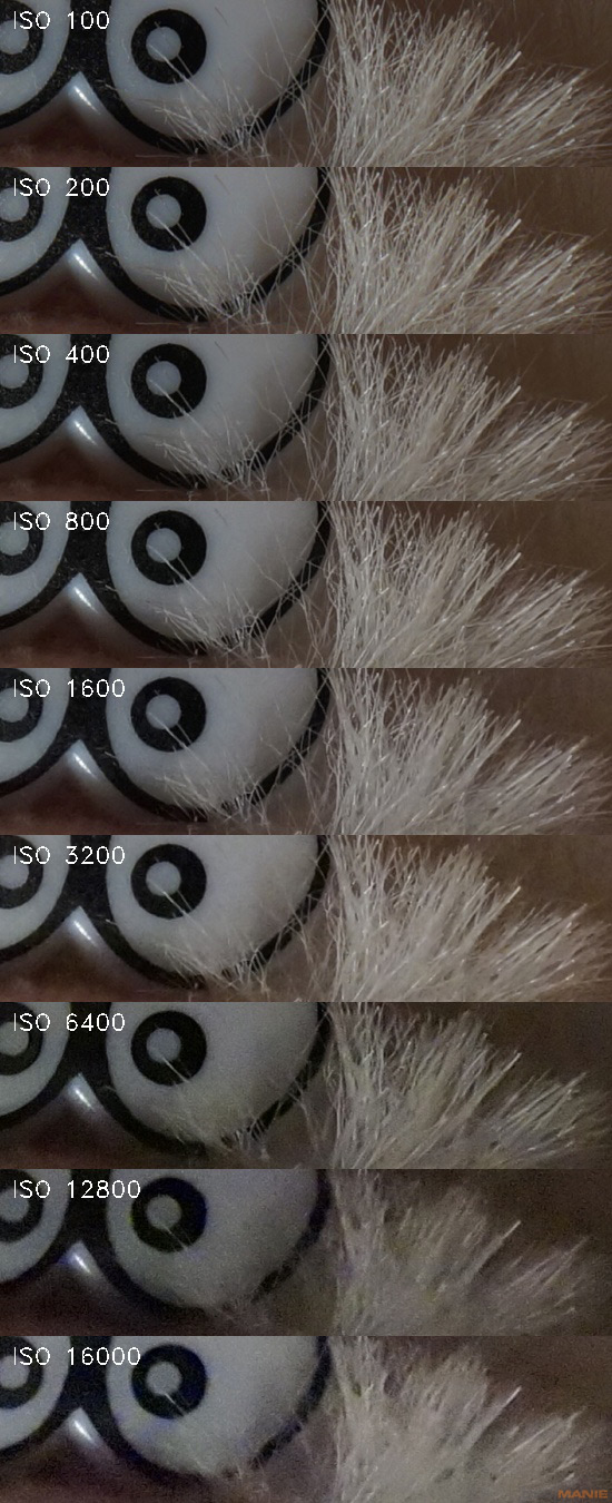 Sony SLT-A58: silný základ