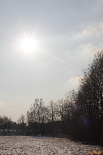 Canon EF 35mm f/1.4L USM