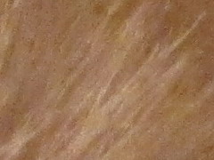 Canon IXUS 220 HS: multifunkční Karkulka