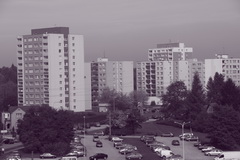 Canon EOS 550D: třídní premiant