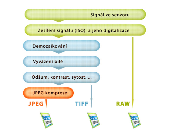 RAW či JPEG, toť otázka