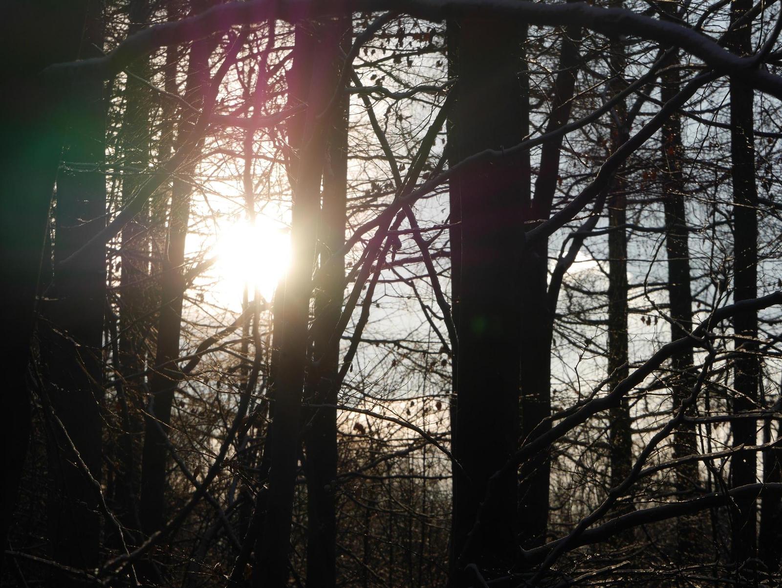 Panasonic Lumix G Vario 35-100mm F4-5.6 MEGA O.I.S.