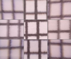 Fujifilm X100: splněný sen