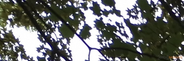 Samsung Galaxy S22 Ultra: pětioký fotografický král?