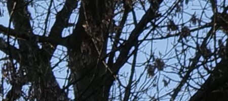 Panasonic Lumix S 20-60mm F3.5-5.6