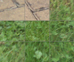 Panasonic Lumix G Vario 100-300mm F4-5,6