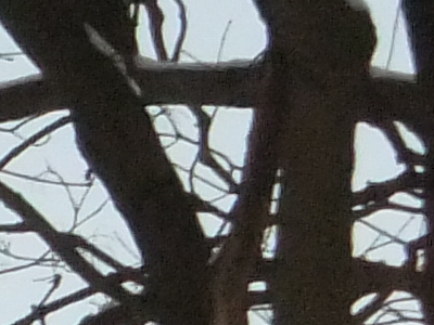 Fujifilm FinePix F300EXR: klame tělem