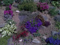 Nokia N80 - jak fotí 3megapixelový fotomobil?