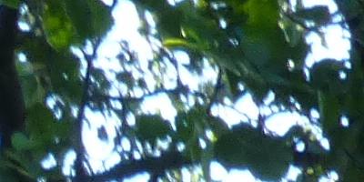 Panasonic Lumix TZ30: pokračovatel slavného rodu?