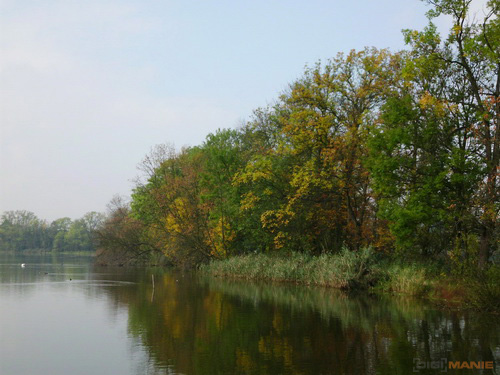 BenQ DC T1260: přítel citlivé peněženky