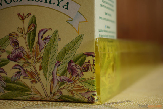 Sony NEX-6: pan dlouho očekávaný