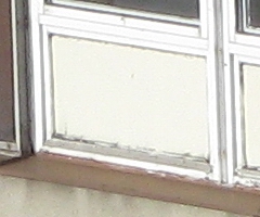 Canon PowerShot A1000 IS: ve stínu předchůdce