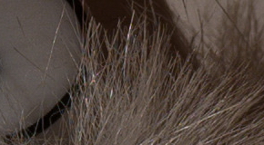 Panasonic Lumix LX100: pozoruhodný profi kompakt