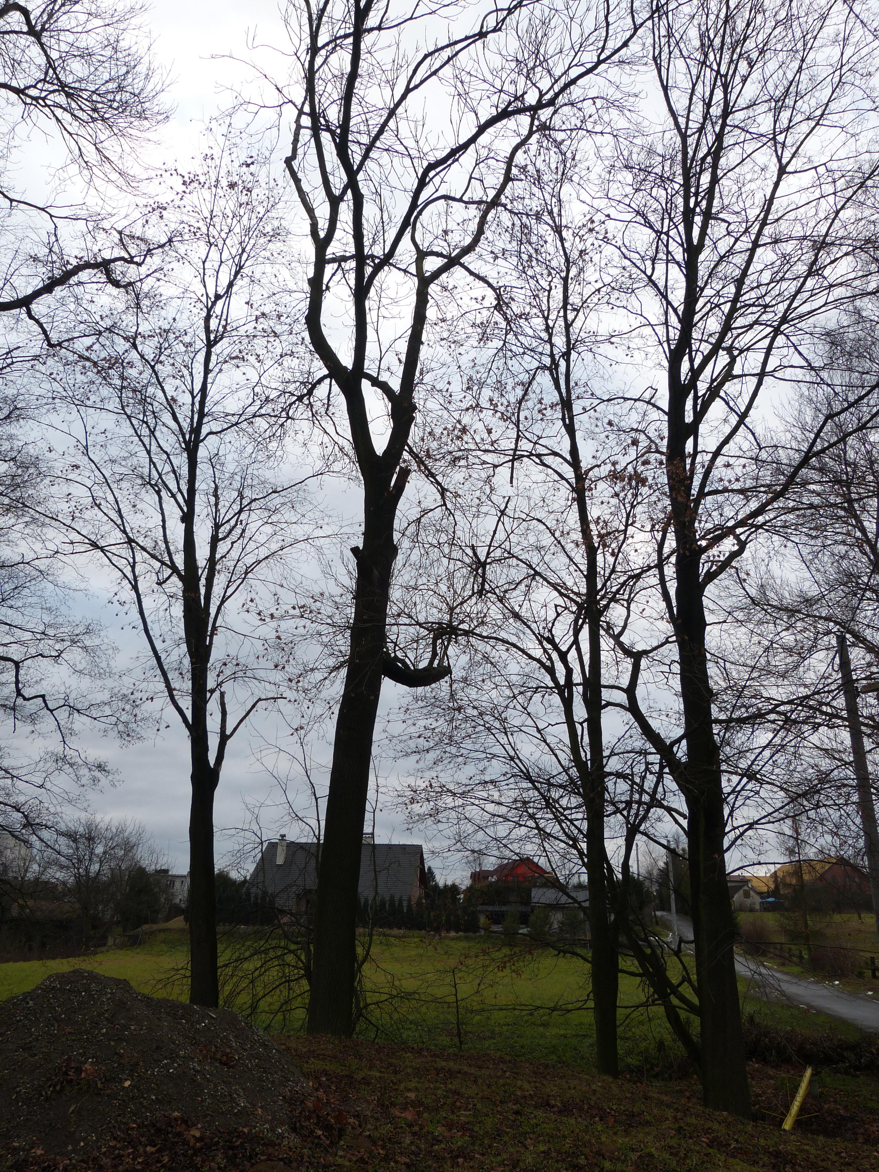 Panasonic Lumix FZ48 a FZ150: legenda pokračuje