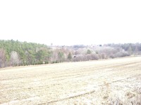 Casio Exilim Card EX-S600: Asijský plátek na fotografický způsob