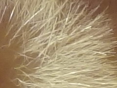 Sony Cyber-shot WX7: překoná skvělou WX5?