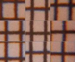 Canon EOS 550D: třídní premiant