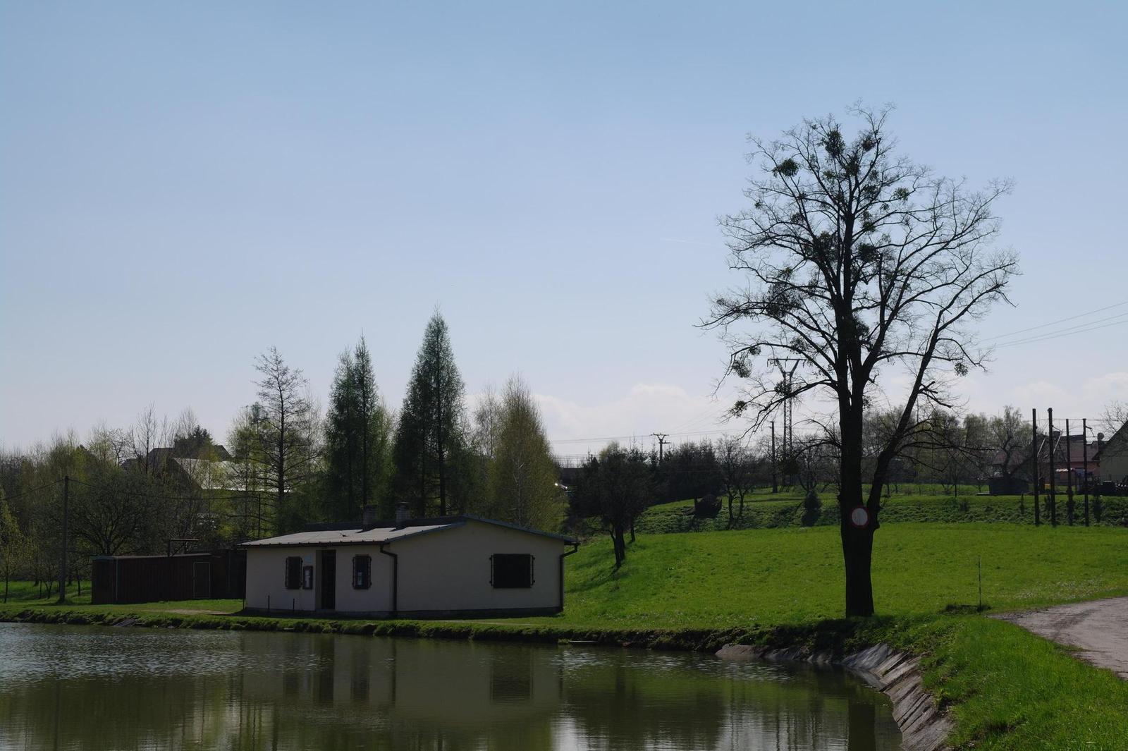 Samsung NX10: vítězný nováček