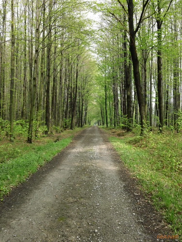 Sony Bloggie Touch: videokamera fotoaparátem?