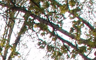 Olympus XZ-1: trefa do černého